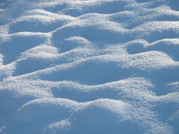 Field-with-snow-champ-enneige (350x263).jpg